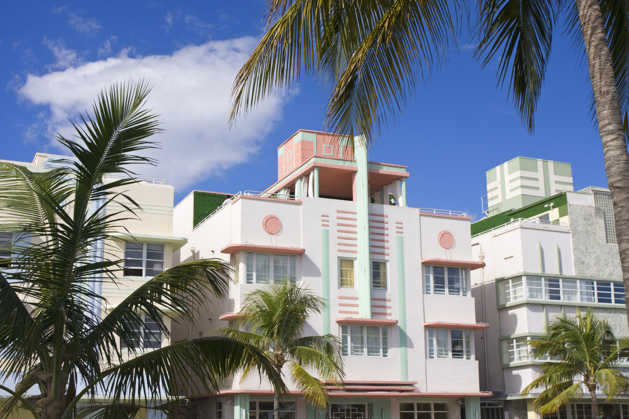Pastel Art Deco hotels framed by palm trees on Ocean Drive, Miami Beach