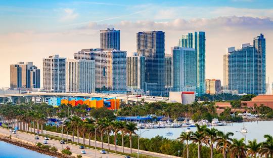 Miami skyline with a palm-lined causeway and marina in the foreground
